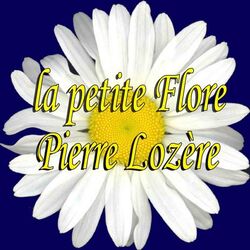 Cover of La petite flore