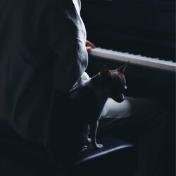 music cover