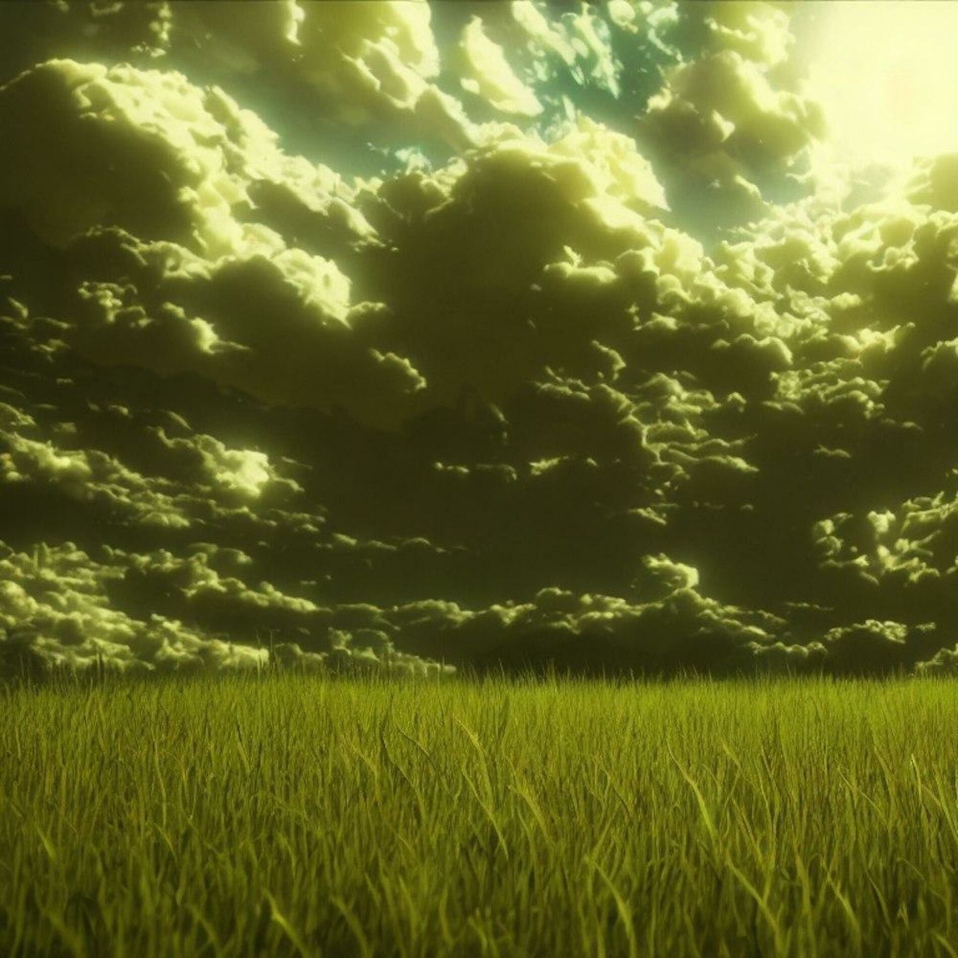 Album cover of Field