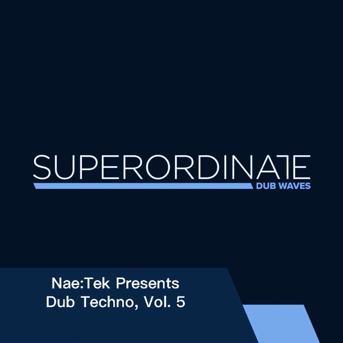 Album cover of Nae:Tek Presents Dub Techno, Vol. 5