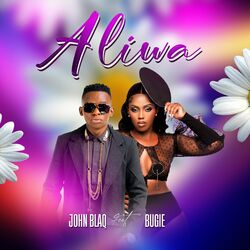 Cover of Aliwa