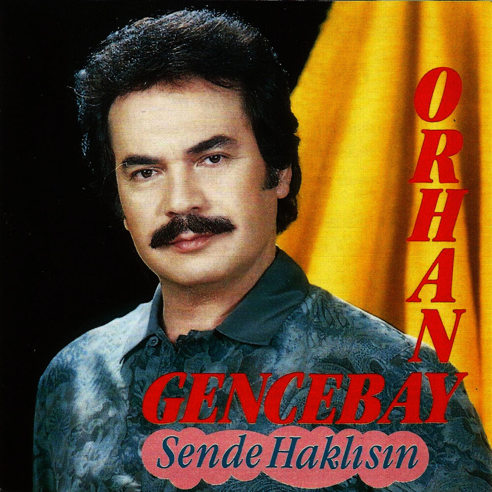 Picture of Sen De Haklısın
