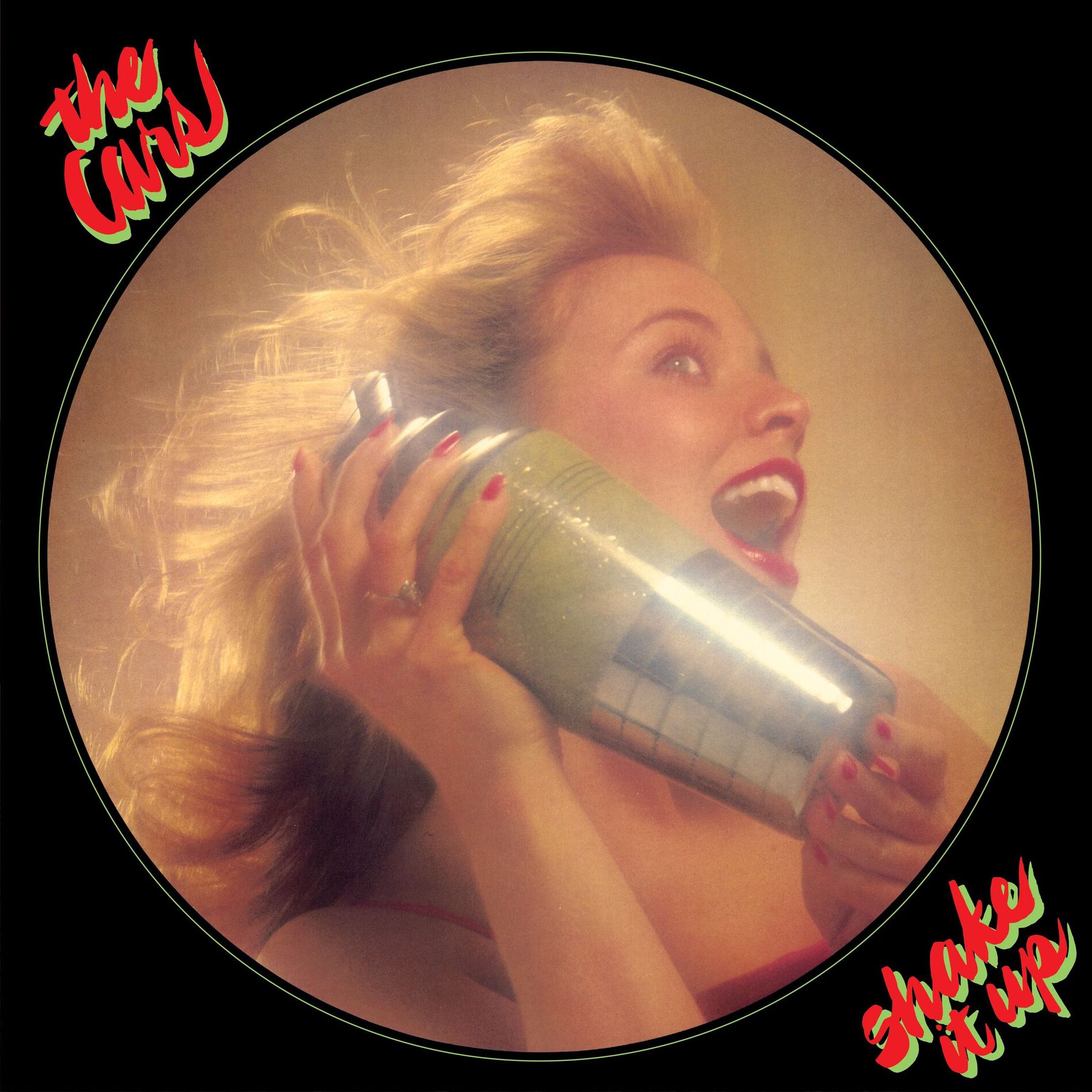 Album cover of Shake It Up
