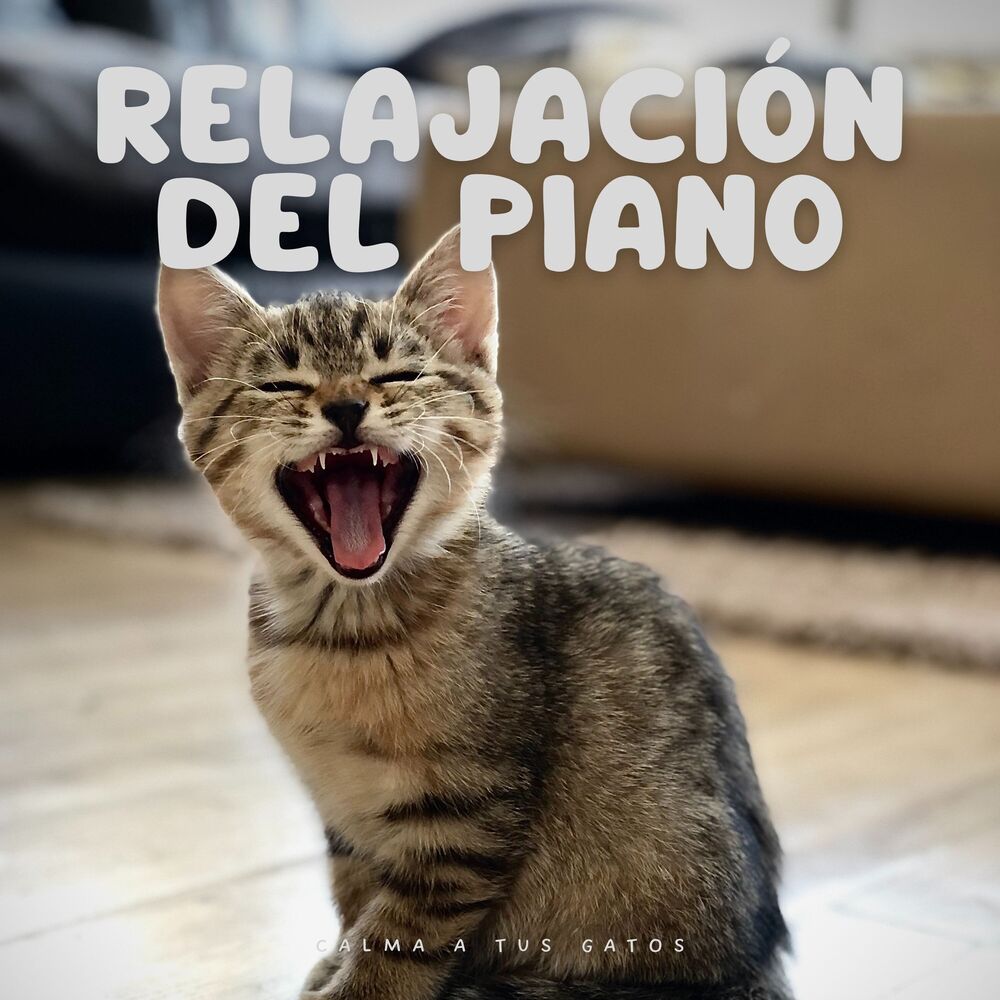 Picture of Relajación Del Piano: Calma A Tus Gatos