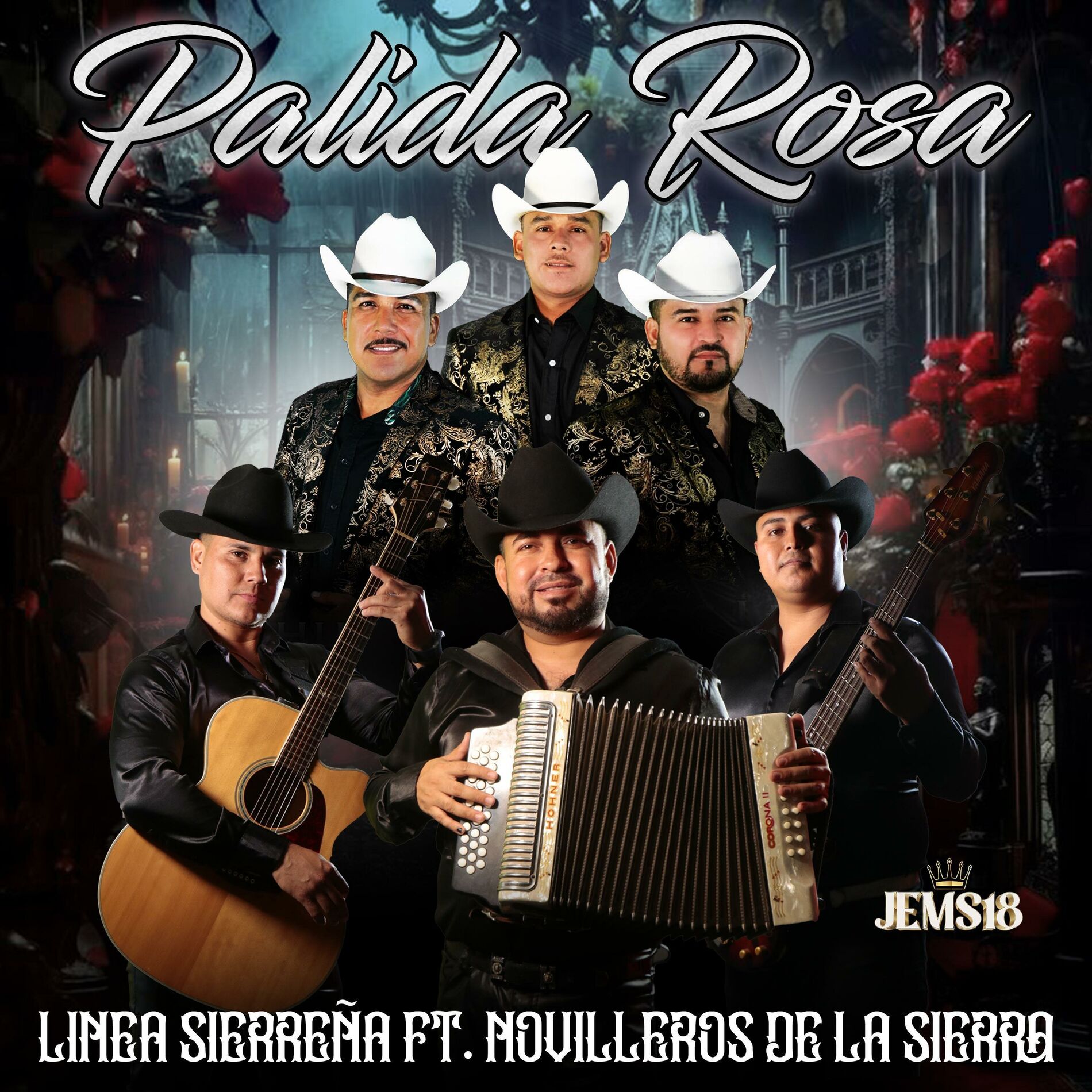 Album cover of Palida Rosa