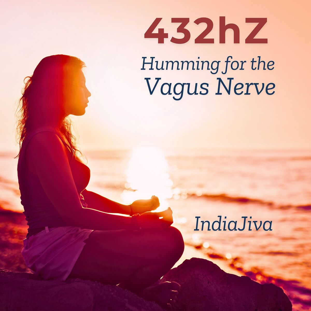 Album cover of 432hz Humming for the Vagus Nerve