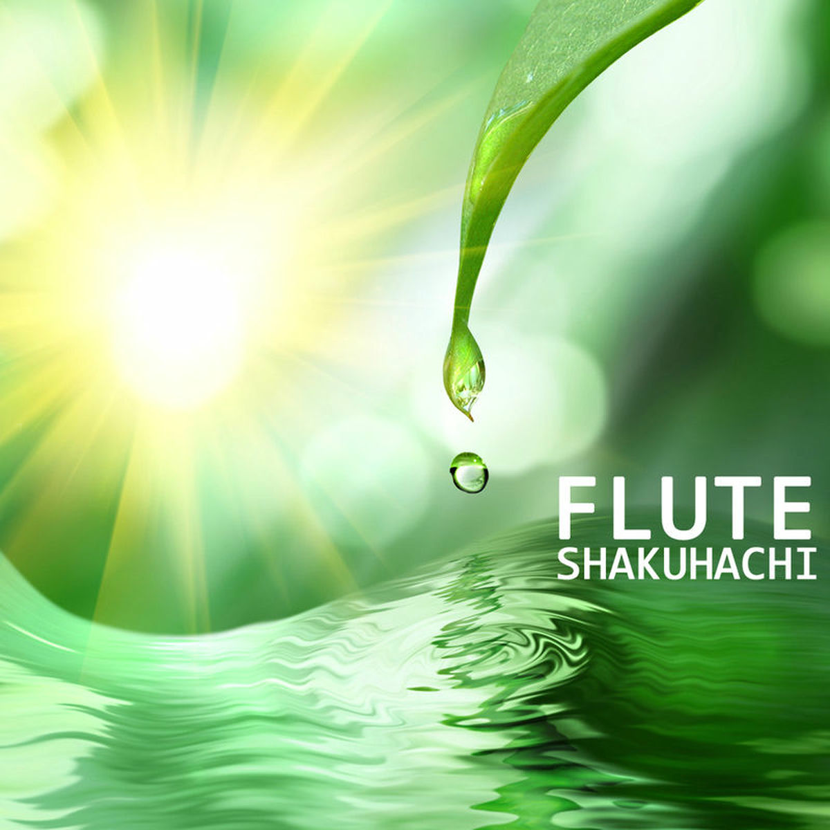 Album cover of Flute Shakuhachi