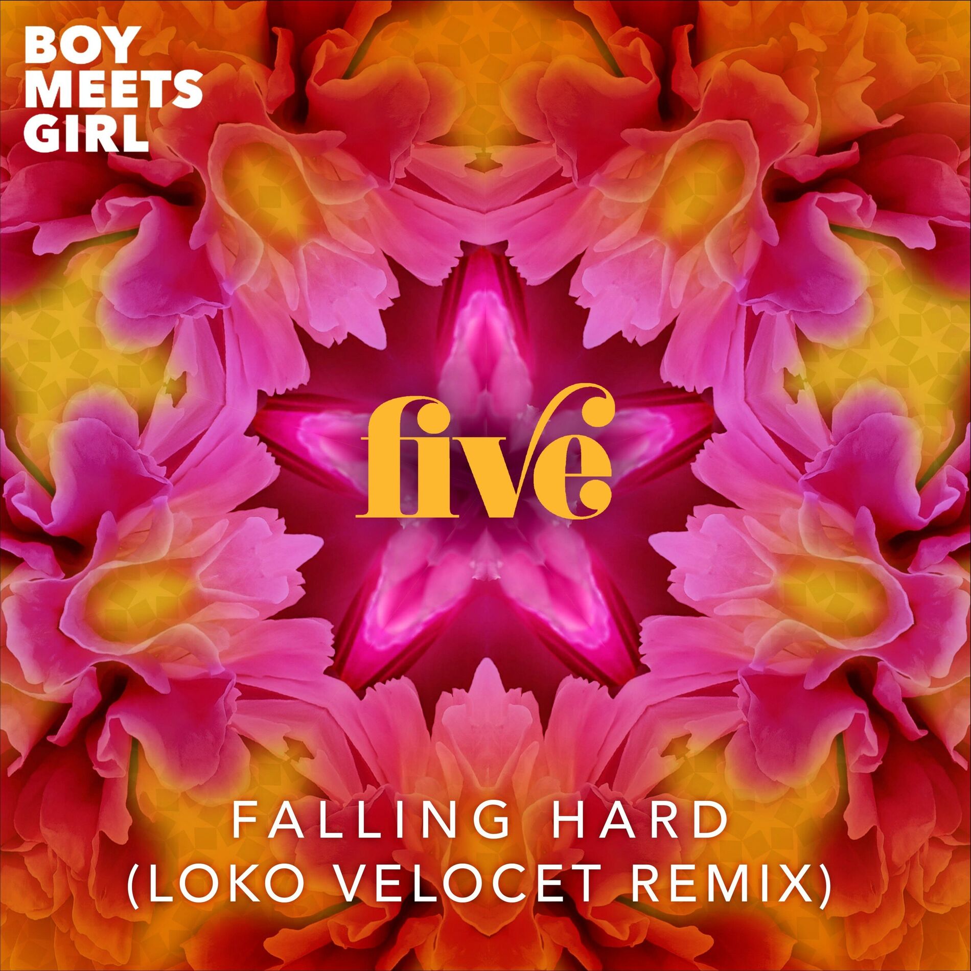 Album cover of Falling Hard (Loko Velocet Remix)