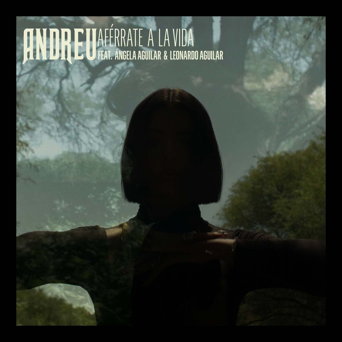 Album cover of Aférrate a la Vida
