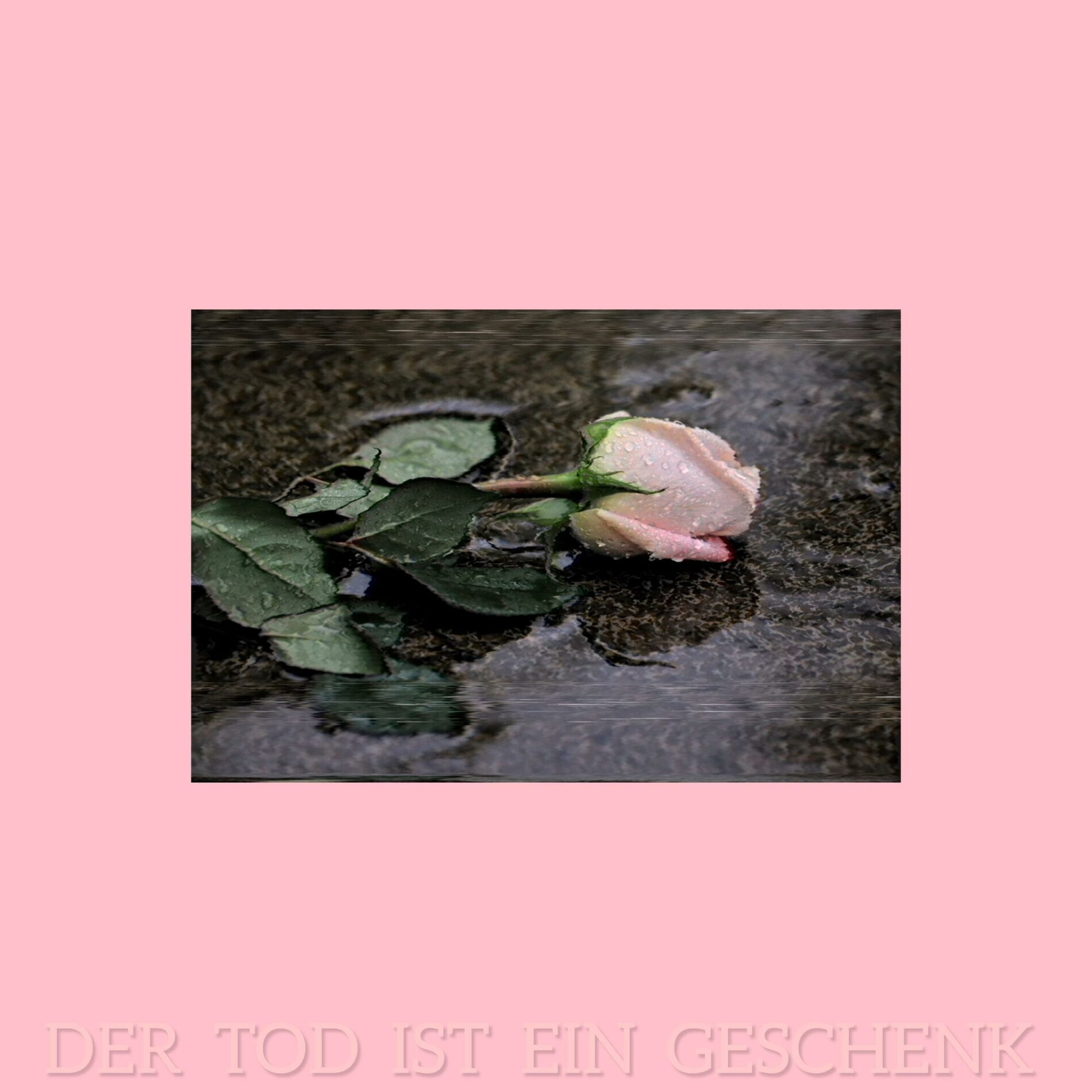 Album cover of Der Tod ist ein Geschenk