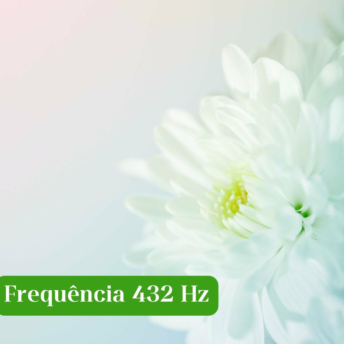 Album cover of 432 Hz Cherry Tree