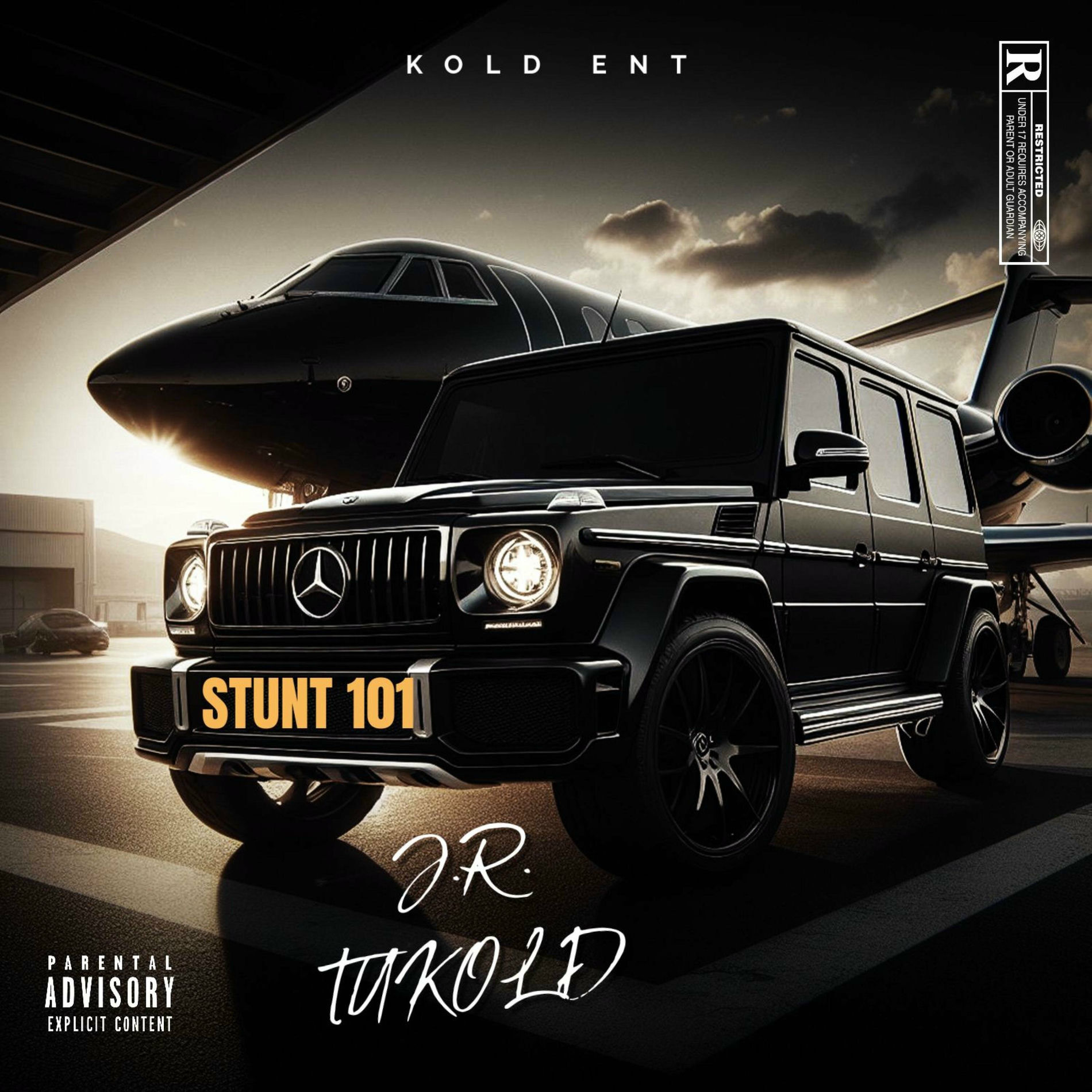 Album cover of Stunt 101