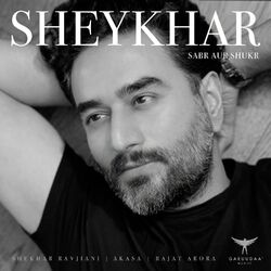 Cover of Sabr Aur Shukr