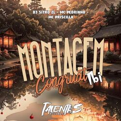 Cover of MONTAGEM CONGRUAT IBI