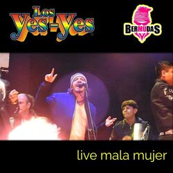 Cover of Mala Mujer (En Vivo)