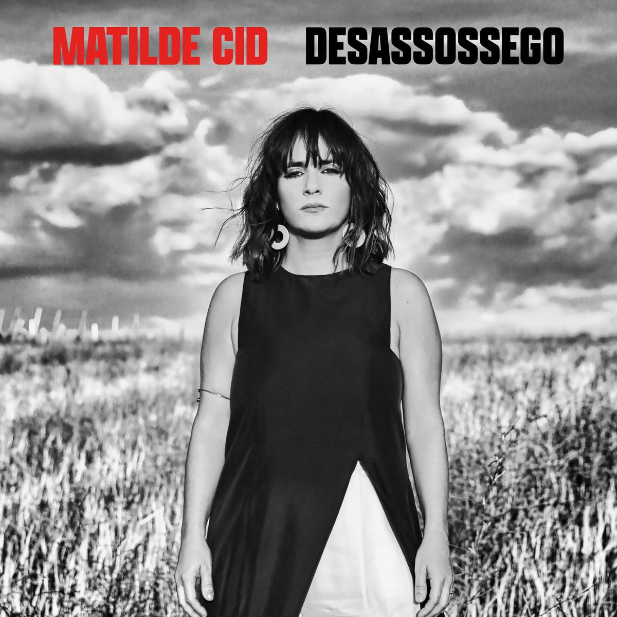 Album cover of Desassossego