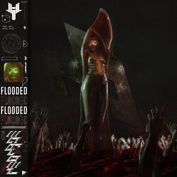 Cover of Flooded