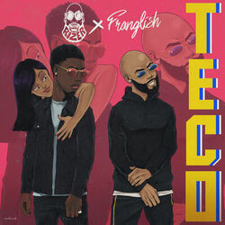 Cover of TECO