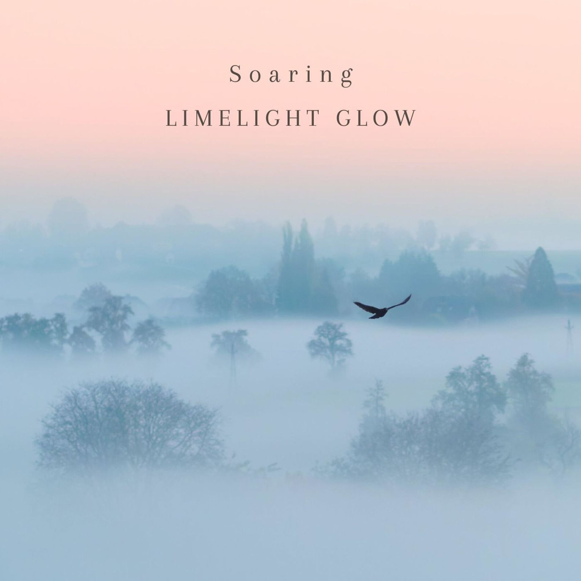 Album cover of Soaring