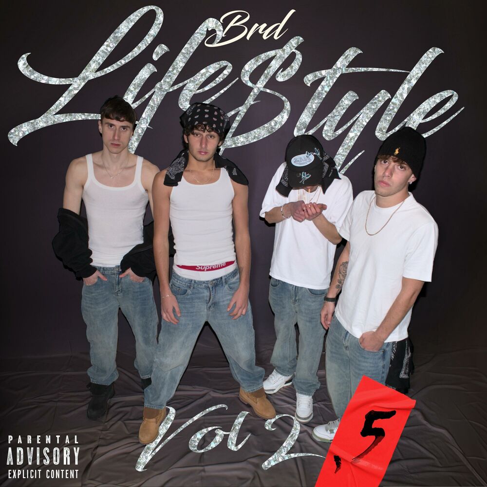 Picture of BRD Lifestyle, Vol. 2,5