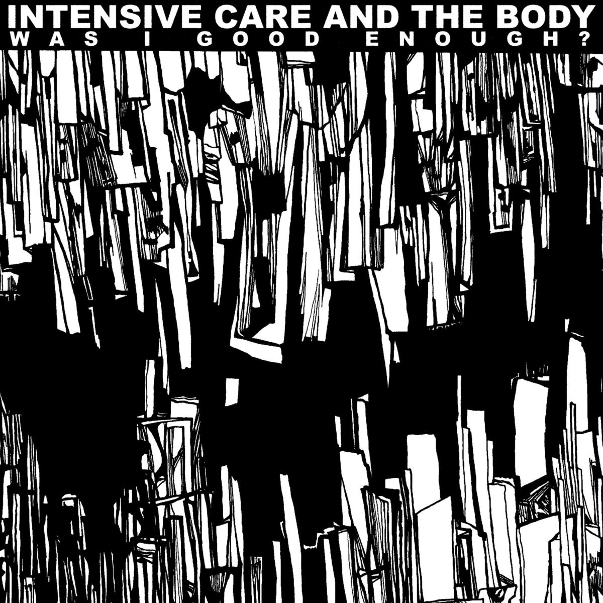 Album cover of The Misunderstanding