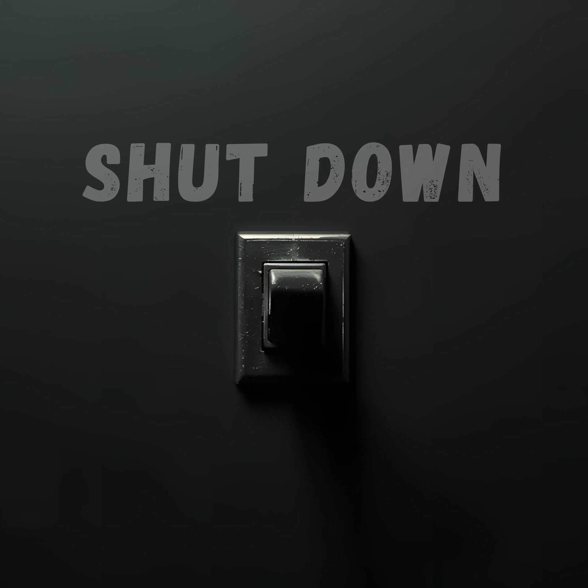 Album cover of Shut Down