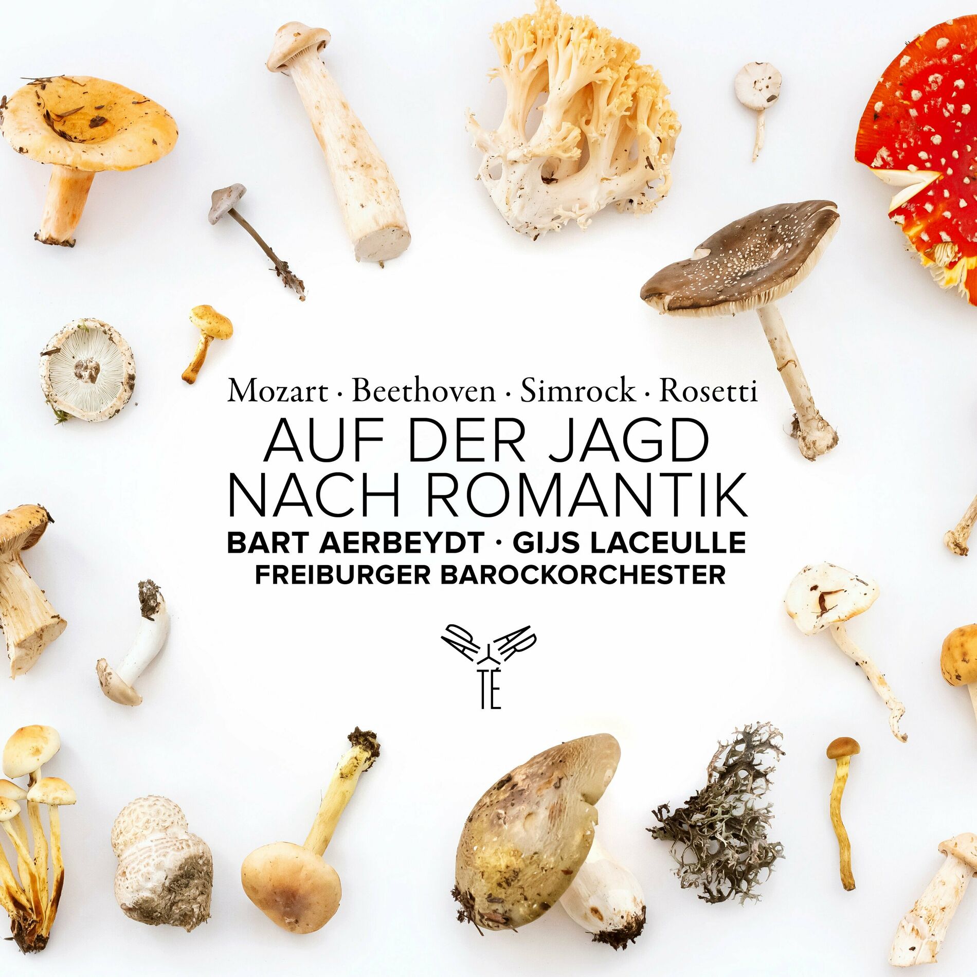 Album cover of Auf der Jagd nach Romantik