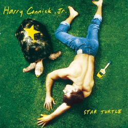 Cover of Star Turtle