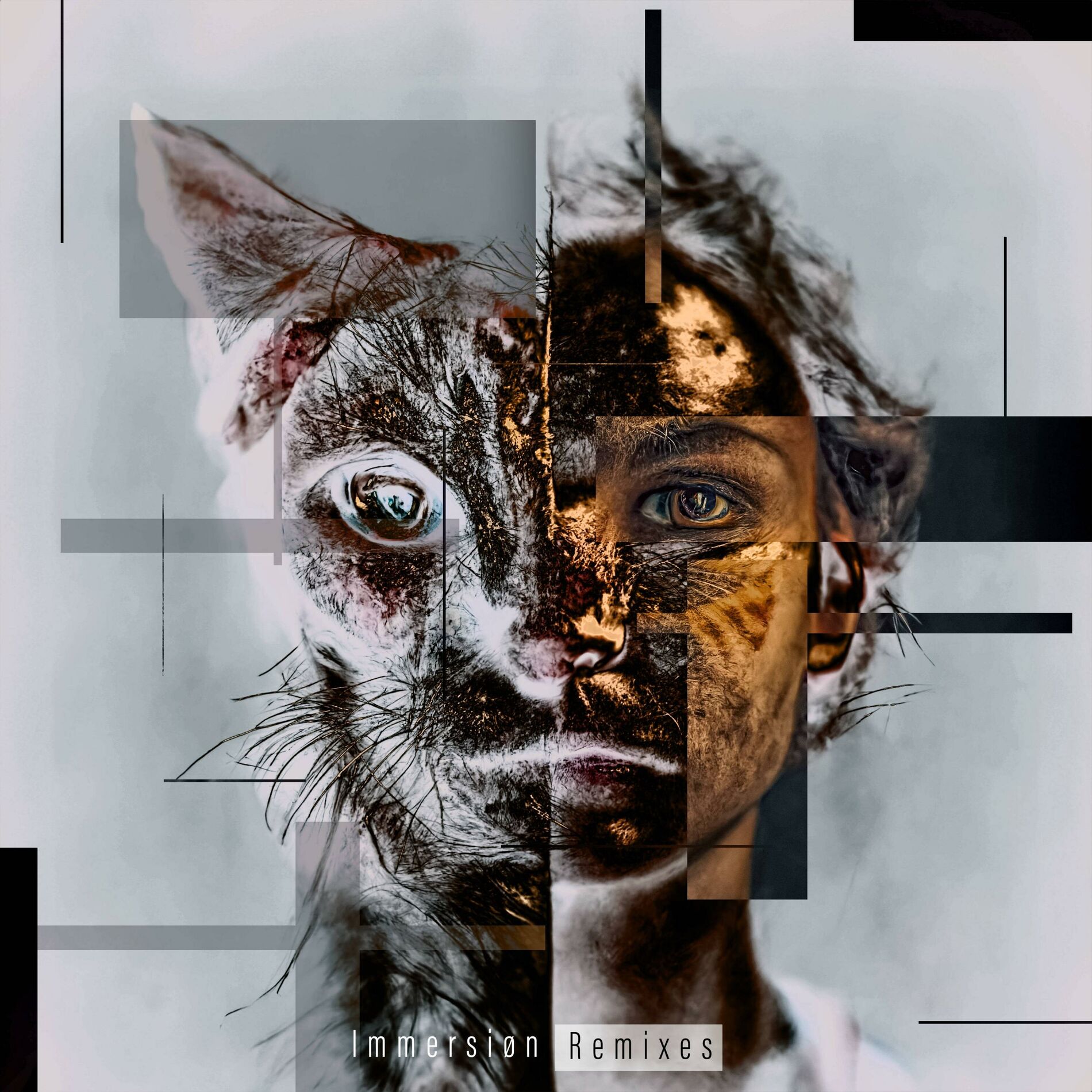 Album cover of Immersiøn (Remixes)