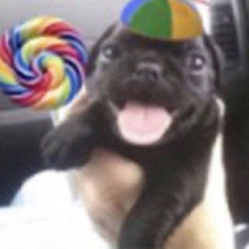 THE PUGGY