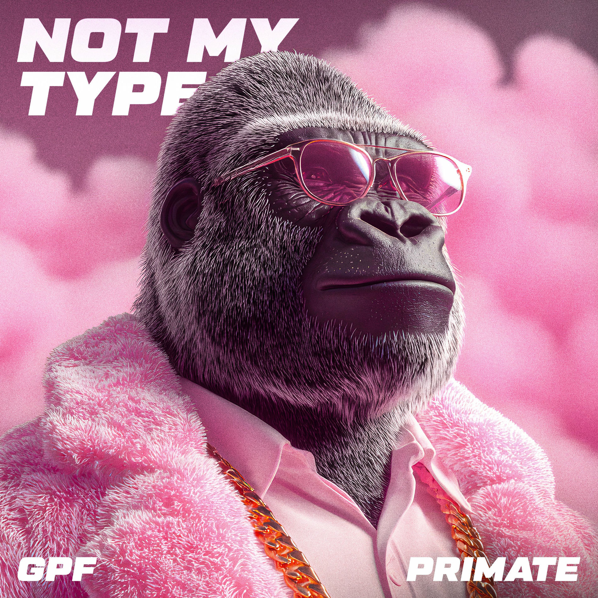 Album cover of Not My Type