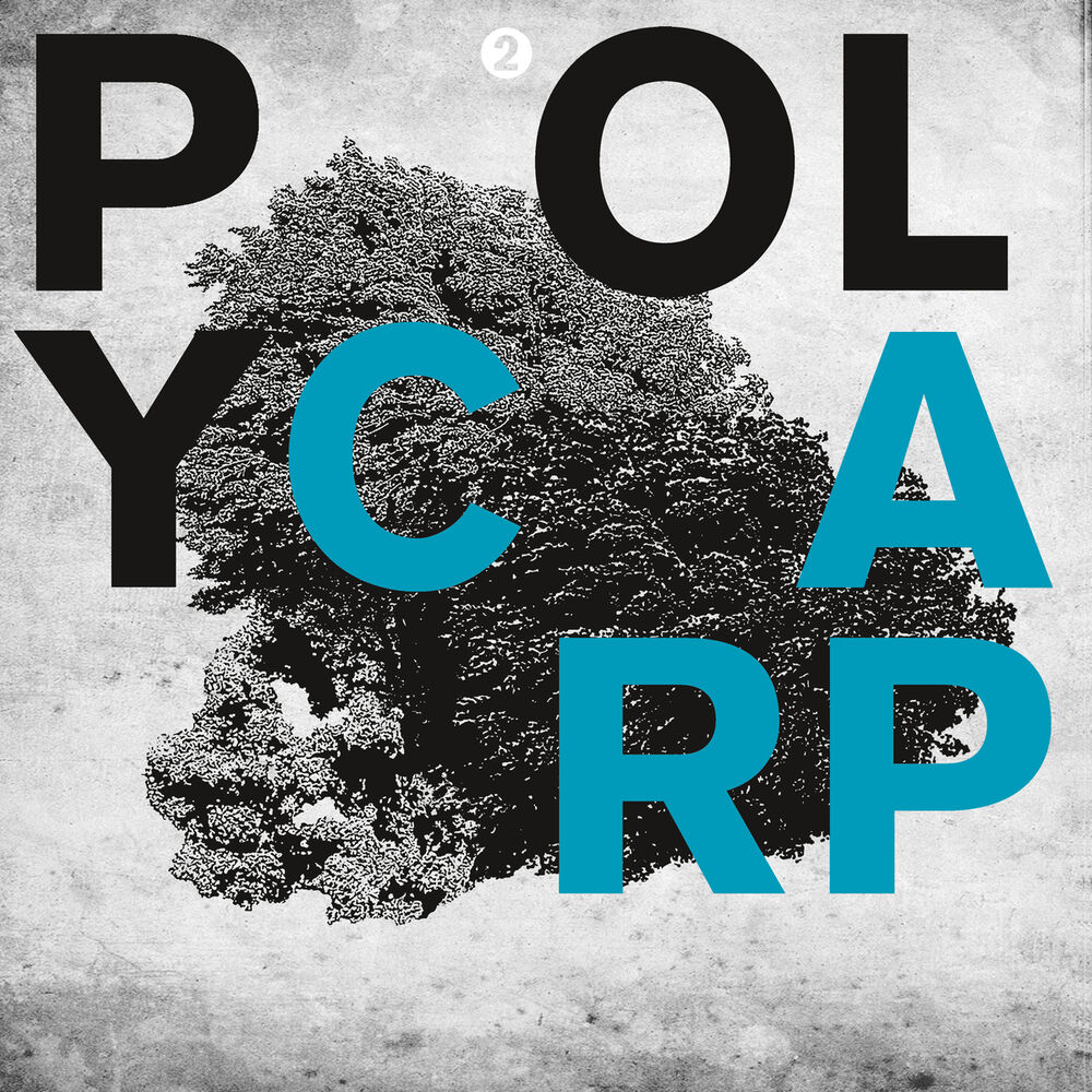 Picture of Poly V.A.