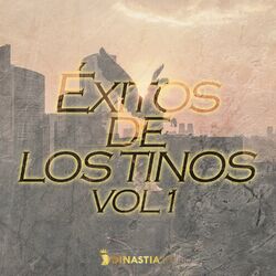 Cover of Éxitos de Los Tinos, Vol. 1