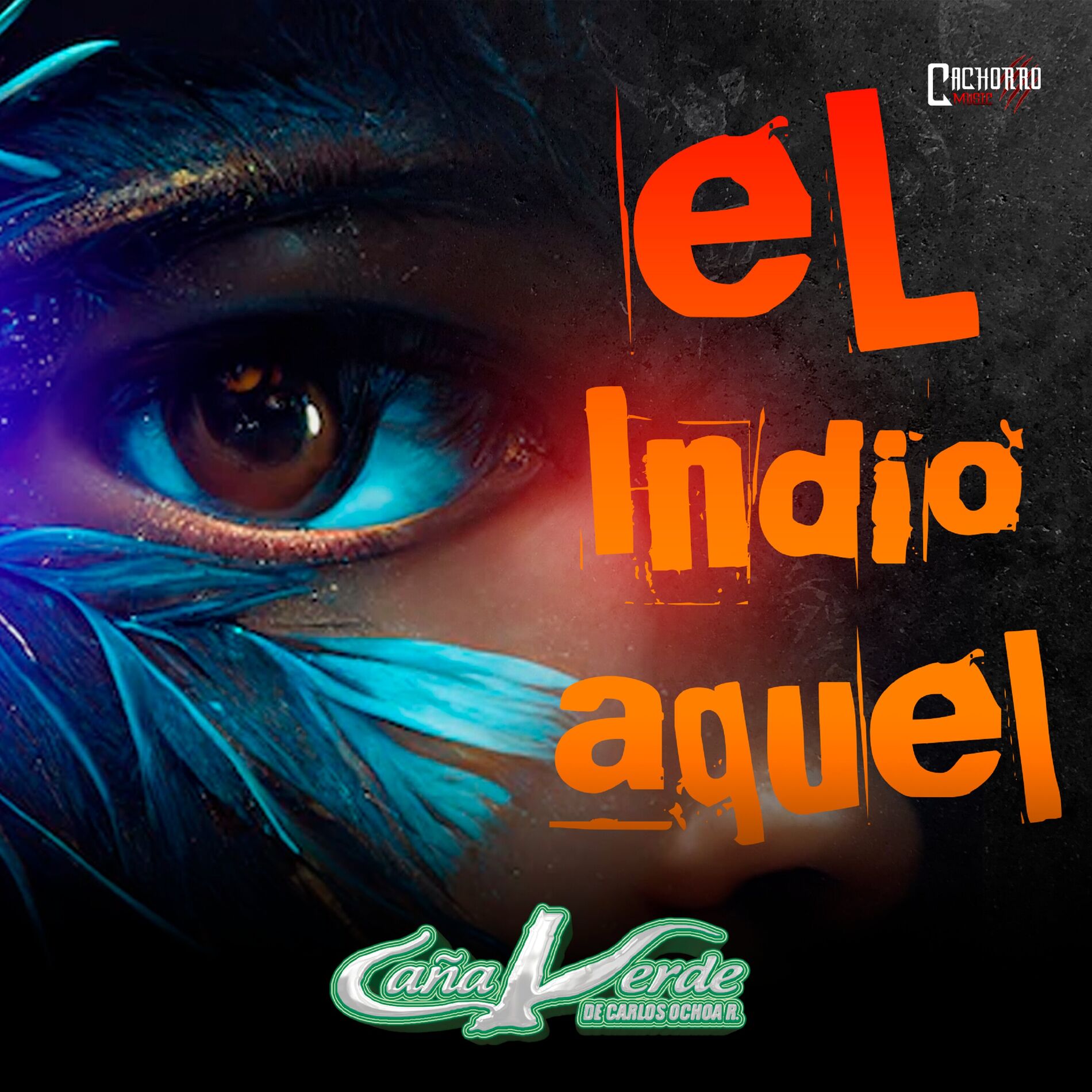 Album cover of El Indio Aquel