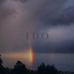 Cover of I.D.O