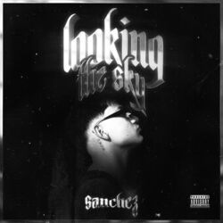 Cover of Looking the sky