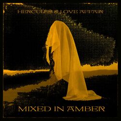 Cover of Mixed In Amber