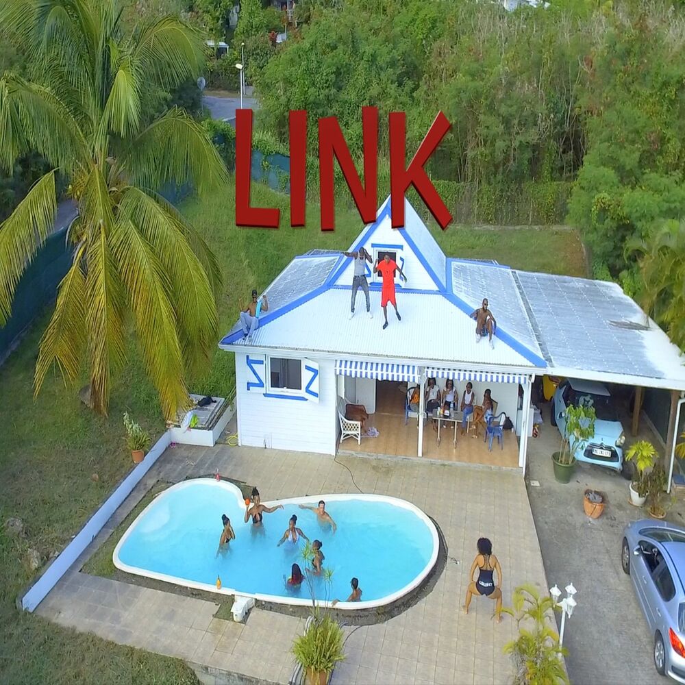 Picture of Link