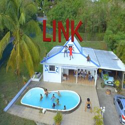 Cover of Link