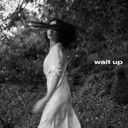 Cover of Wait Up