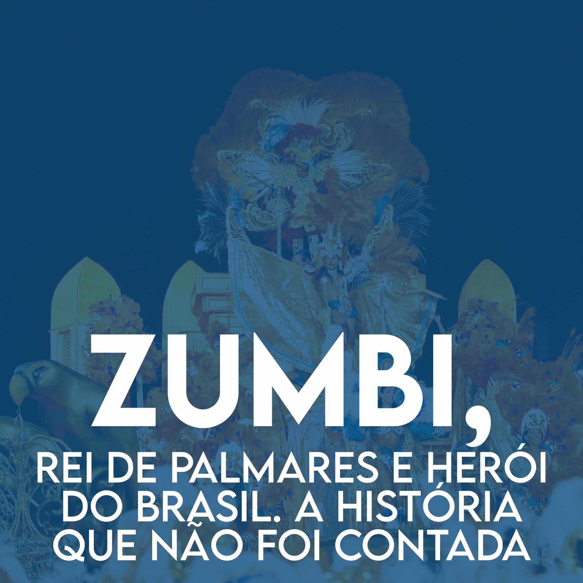 Album cover of Zumbi, Rei de Palmares e Herói do Brasil. A História Que Não Foi Contada