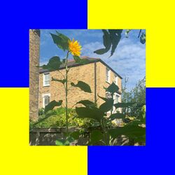 Cover of Burner
