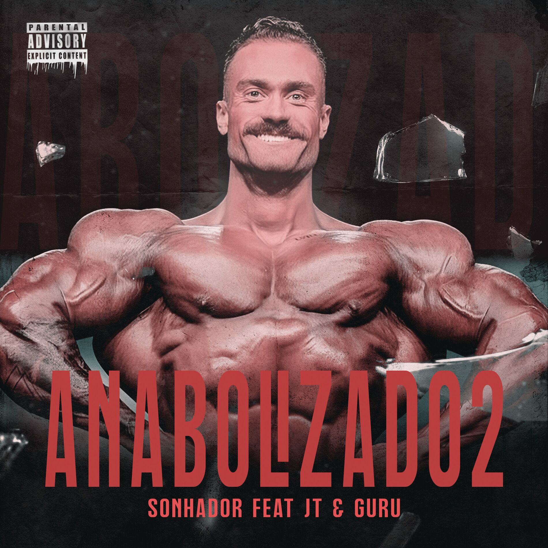 Album cover of Anabolizado 2