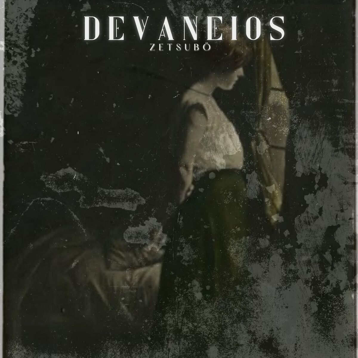 Album cover of Devaneios