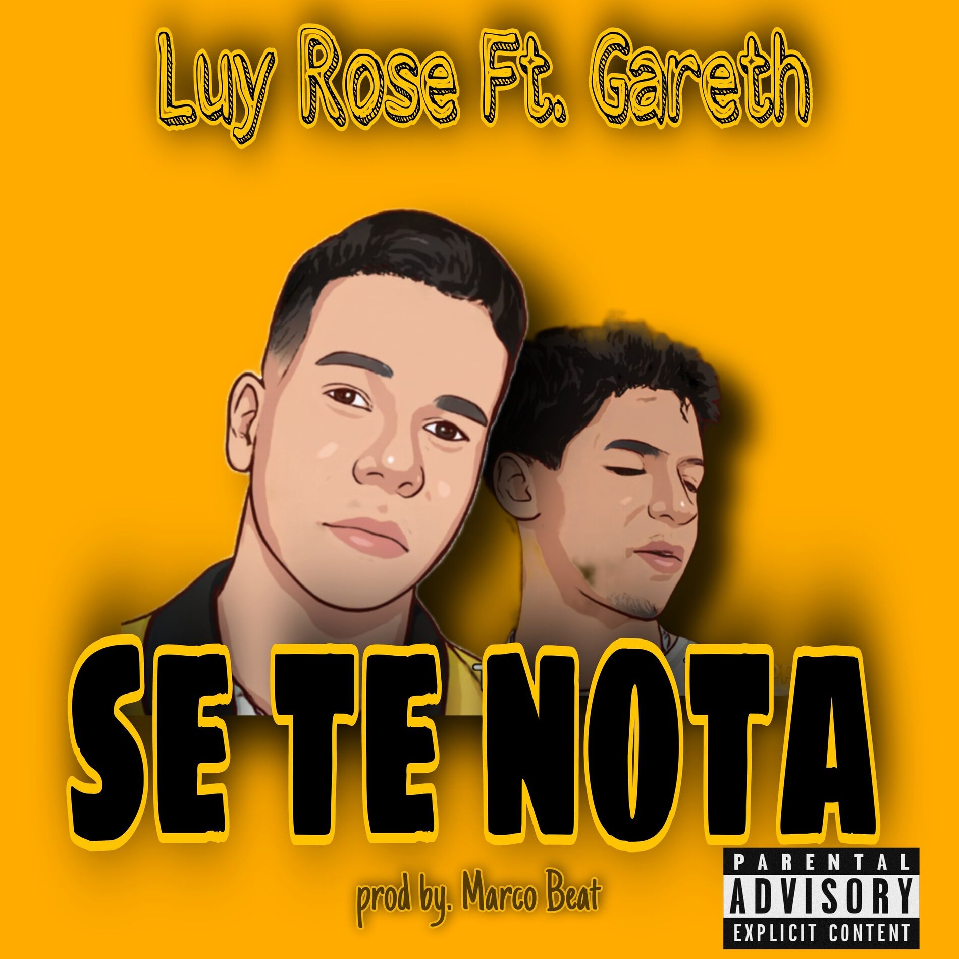 Album cover of se te nota