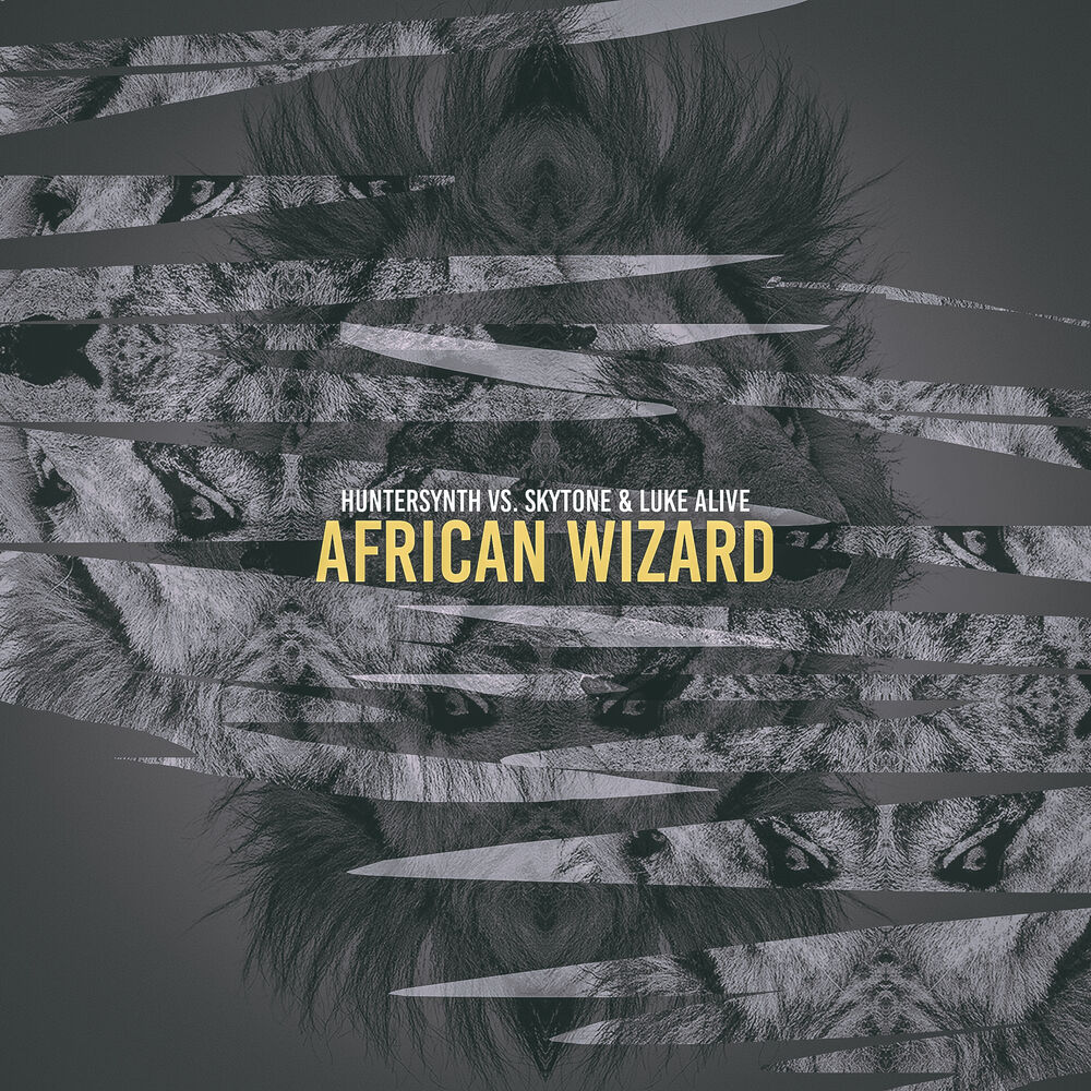 Picture of African Wizard (Radio Edit)
