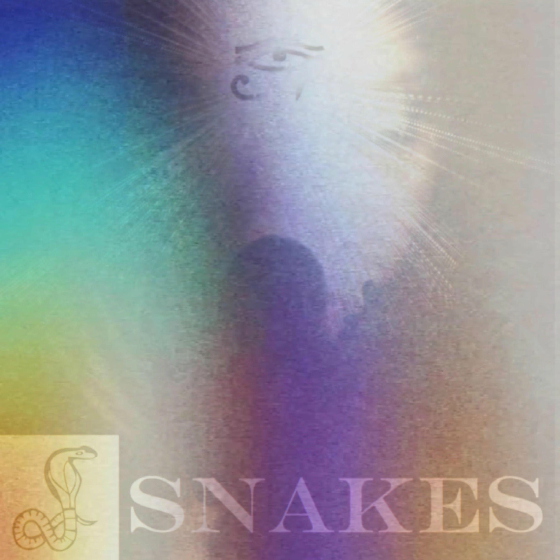 Album cover of snakes (feat. him1)