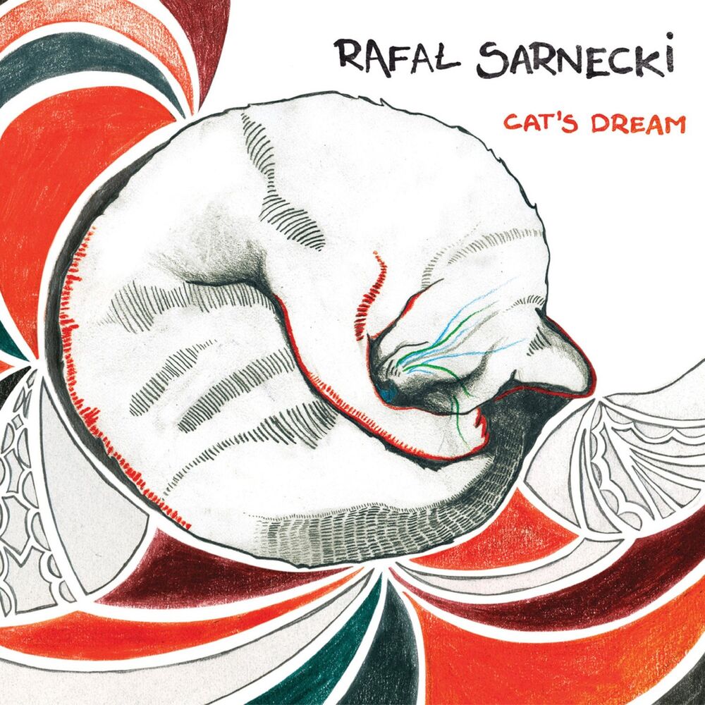 Picture of Cat's Dream