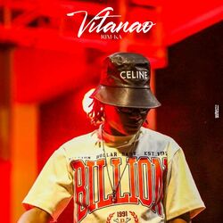 Cover of Vitanao