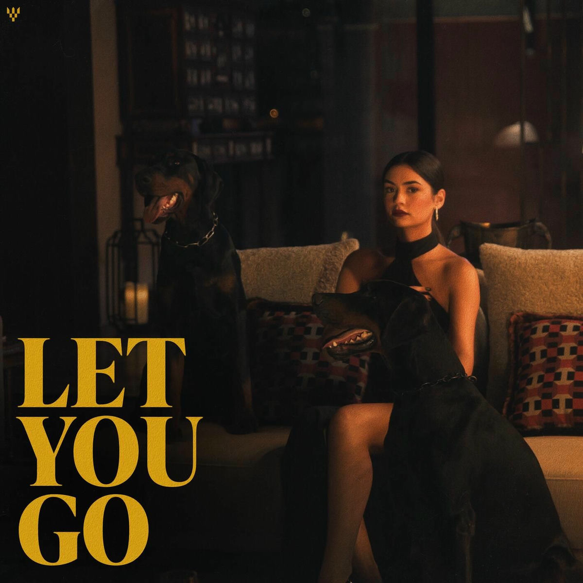 Album cover of Let You Go
